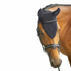 Bonnets Pour Chevaux*Paddock Sports - Bonnet pro coton long Noir