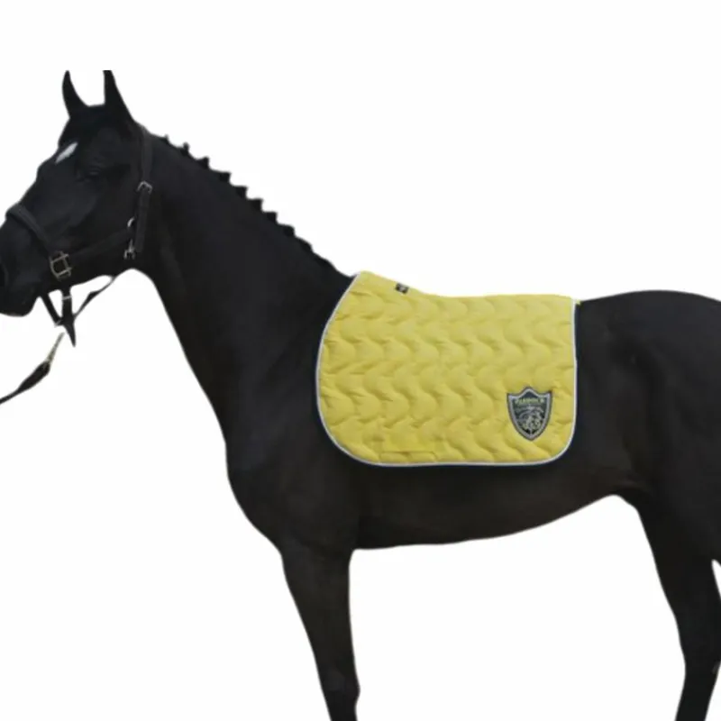 Outlet - Tapis de selle Origine Tapis De Selle|Tapis Cso/ Mixtes