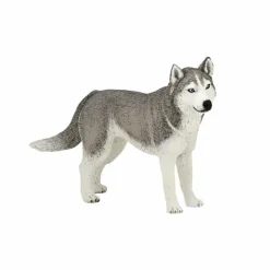 Figurines Papo*Papo - Figurine Husky de Sibérie