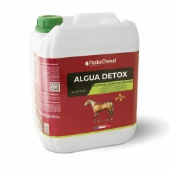 Online - Complément alimentaire drainant Algua Detox Reins