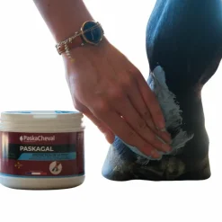 Gale De Boue*Paskacheval - Pommade régénérante gale de boue Paskagal