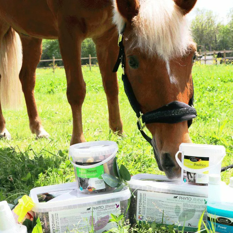 Online - Complément alimentaire anti-stress Phyto Stress Anti-Stress