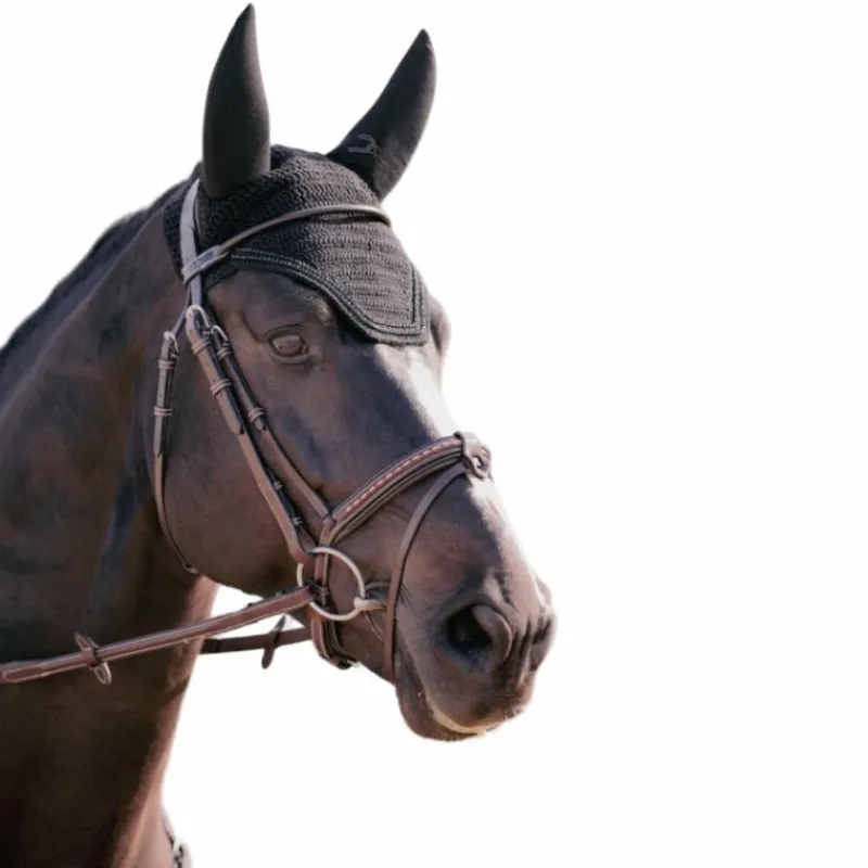 - Bonnet pour chevaux anti-bruit Strass Bonnets Poneys|Bonnets Pour Chevaux