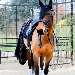 Dressage|Hunter*Pénélope - Bride Point Sellier avec rênes Noir