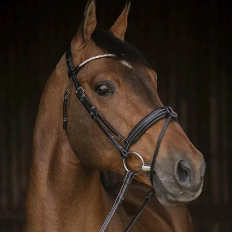 Bridons Poneys|Bridons*Pénélope - Bridon Daily Strass Noir