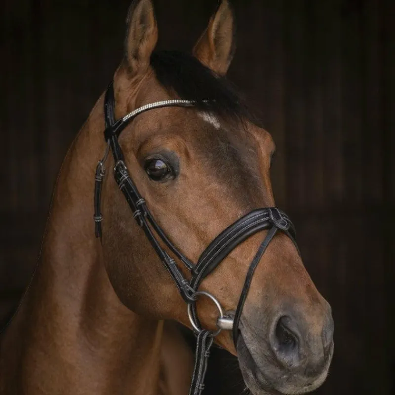Bridons Poneys|Bridons*Pénélope - Bridon Daily Strass Noir