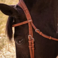 Bridons*Pénélope - Bridon Elégance Cognac