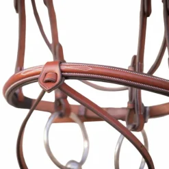 Bridons*Pénélope - Bridon Hunter US et havane Noisette