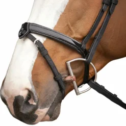 Discount - Bridon Oxford Bridons