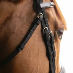 Discount - Bridon Oxford Bridons