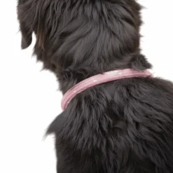 - Collier pour chien Billie / lurex Colliers