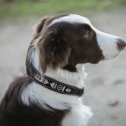 Colliers*Pénélope - Collier pour chien Pearls Havane/ Rose