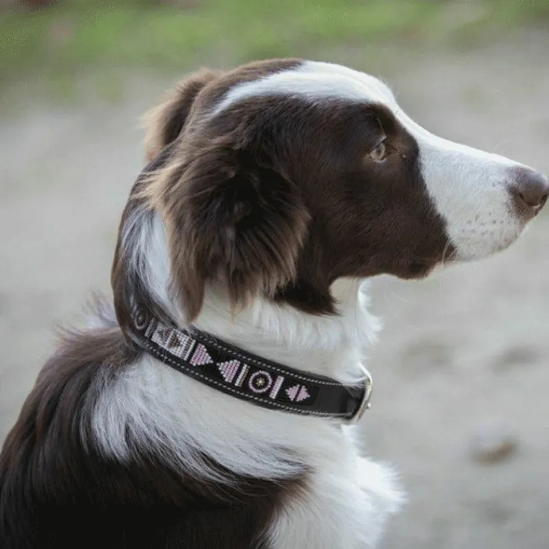 Colliers*Pénélope - Collier pour chien Pearls Havane/ Rose