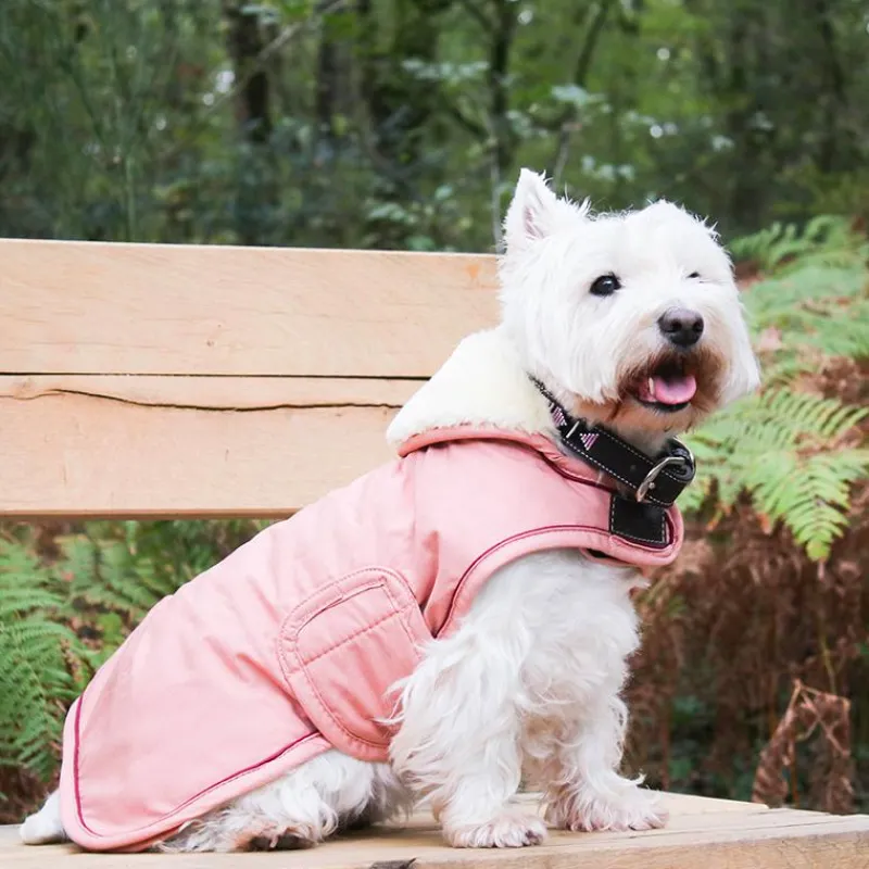 Colliers*Pénélope - Collier pour chien Pearls Havane/ Rose