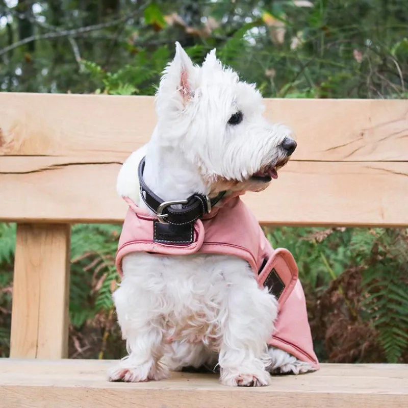 Colliers*Pénélope - Collier pour chien Pearls Havane/ Rose