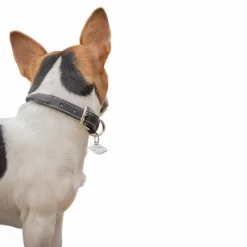 Colliers*Pénélope - Collier pour chien Olie havane Marron