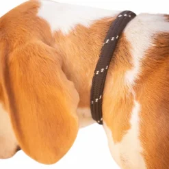 Sale - Collier pour chien Billie / lurex Colliers