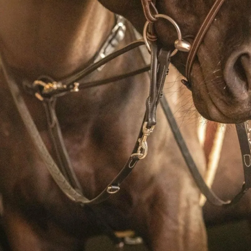 Clearance - Enrênement Howlett Martin collier Howlett/ Thiedeman