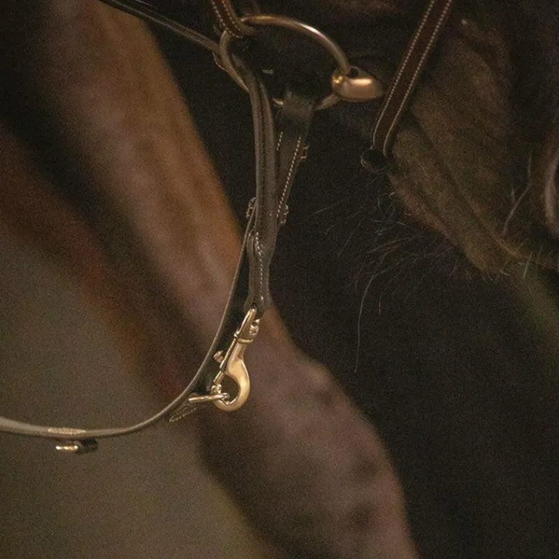 Clearance - Enrênement Howlett Martin collier Howlett/ Thiedeman