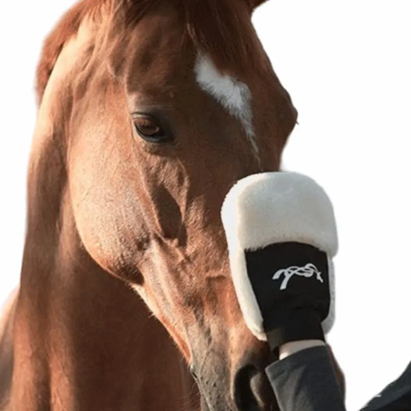 Online - Gant de pansage Grooming|Gants De Pansage