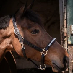 Sale - Licol Harmonie Licols Poneys