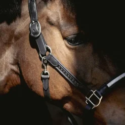 Sale - Licol Harmonie Licols Poneys