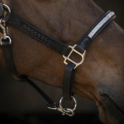 Sale - Licol Harmonie Licols Poneys