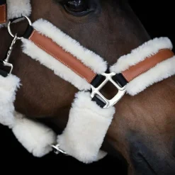 Licols Poneys|Licols Avec Mouton*Pénélope - Licol mouton et cuir / beige Noir