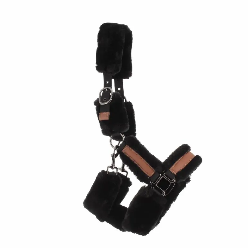 - Licol mouton et cuir / Licols Poneys|Licols Avec Mouton