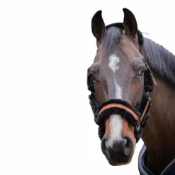 - Licol mouton et cuir / Licols Poneys|Licols Avec Mouton