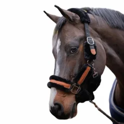 - Licol mouton et cuir / Licols Poneys|Licols Avec Mouton