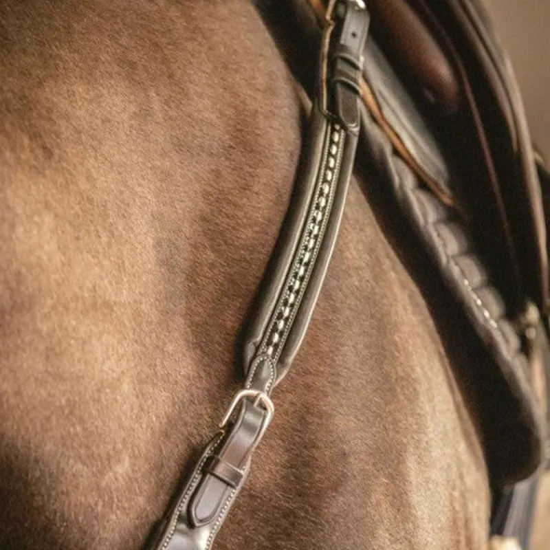 Colliers De Chasse*Pénélope - Martin Collier havane Marron