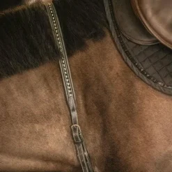 Colliers De Chasse*Pénélope - Martin collier Noir