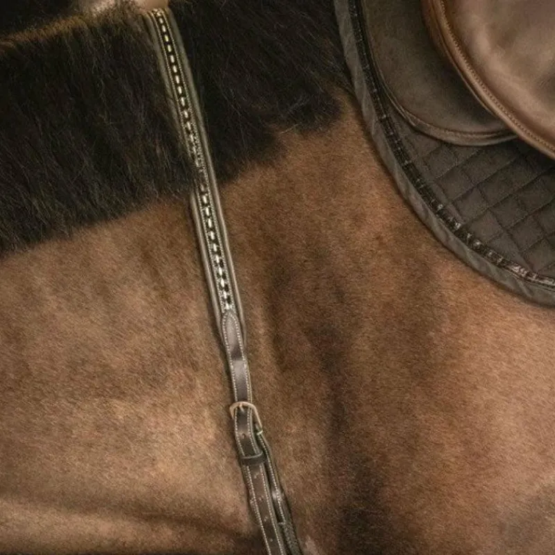 Colliers De Chasse*Pénélope - Martin collier Noir