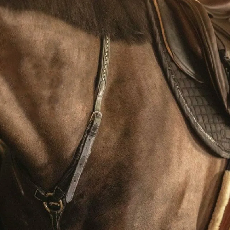 Colliers De Chasse*Pénélope - Martin collier Noir