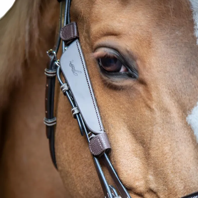 Accessoires De Bridon*Pénélope - Oeillères Blinkers havane Marron