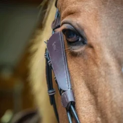 Accessoires De Bridon*Pénélope - Oeillères Blinkers havane Marron