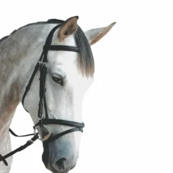 New Privilege Equitation - Bridon Royan combiné avec rênes Bridons Poneys|Bridons