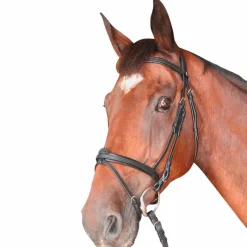 New Privilege Equitation - Bridon Cabourg combiné avec rênes Bridons Poneys|Bridons