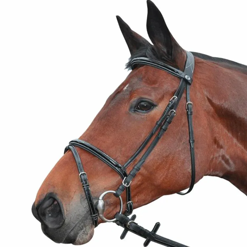 Clearance Privilege Equitation - Bridon Nice combiné avec rênes Bridons Poneys|Bridons