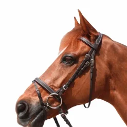 Bridons Poneys|Bridons*Privilège Equitation Privilege Equitation - Bridon Grandville combiné avec rênes marron Havane