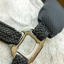 Licols Poneys|Ensembles Licols Et Longes*Pro Confort - Ensemble licol ergonomique et longe Dorai en mesh Noir