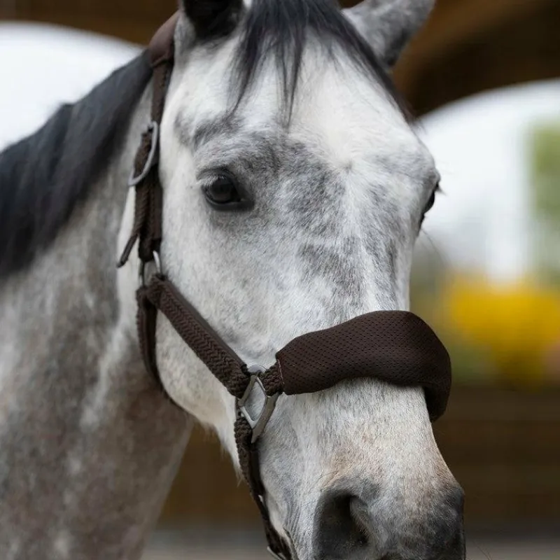 Clearance - Ensemble licol ergonomique et longe Dorai en mesh Licols Poneys|Ensembles Licols Et Longes