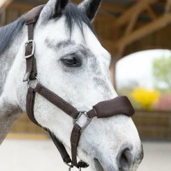 Clearance - Ensemble licol ergonomique et longe Dorai en mesh Licols Poneys|Ensembles Licols Et Longes