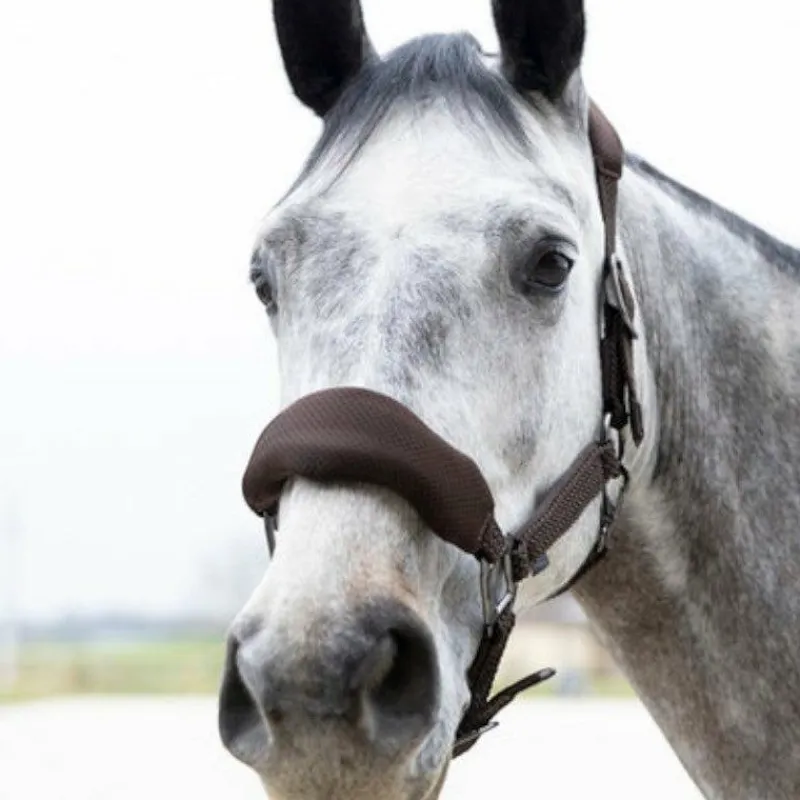 Clearance - Ensemble licol ergonomique et longe Dorai en mesh Licols Poneys|Ensembles Licols Et Longes