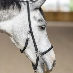 Licols Poneys*Pro Confort - Licol de grooming Dialou Noir