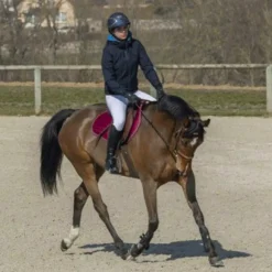 Blousons Et Manteaux*Pro Series - Blouson Equilibre femme Marine