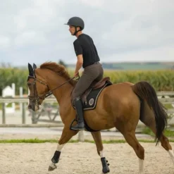 Discount - T-shirt manches courtes homme Aubin T-Shirts Et Baselayers|T-Shirts Et Baselayers