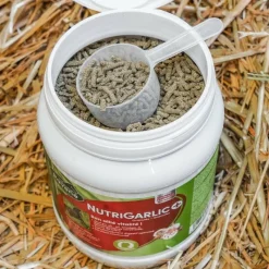 Sale - Complément alimentaire état général Nutrigarlic + Détoxifiants Peau|Perte D'État