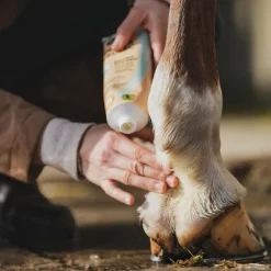 Dermite Estivale|Cicatrisants*Ravene - Crème soin cutané Derma Protec